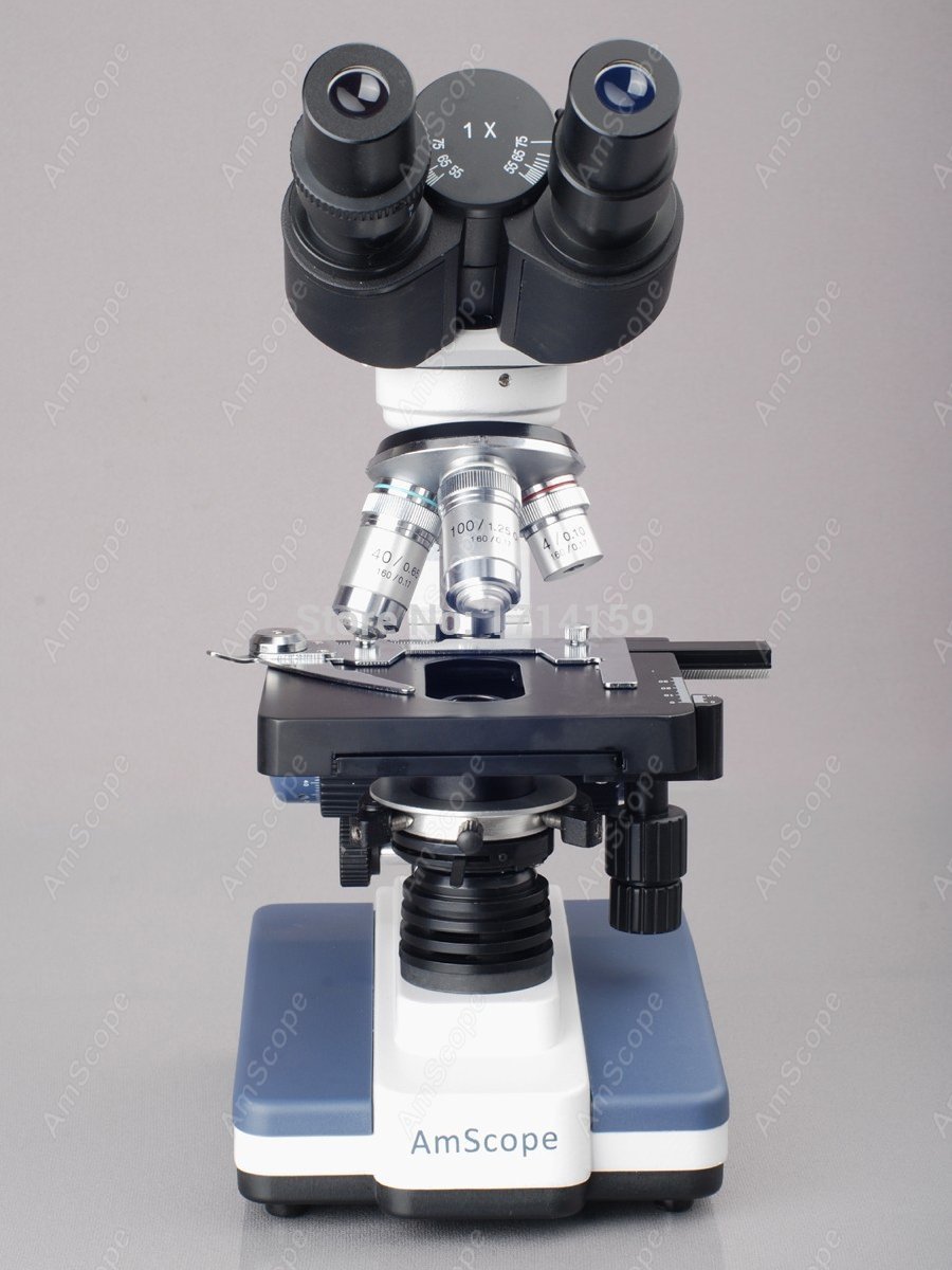 AmScope Student & Professional - Amscope Microscope Compound 40X-1000X review and price