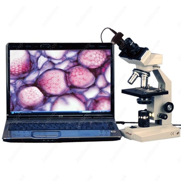 AmScope B100 Series Biological - Amscope Microscope Compound 40X-1000X review and price