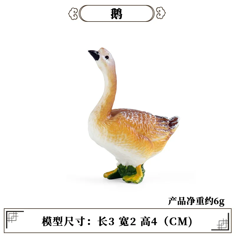 Education Teaching Tool Poultr - Science Toys review and price