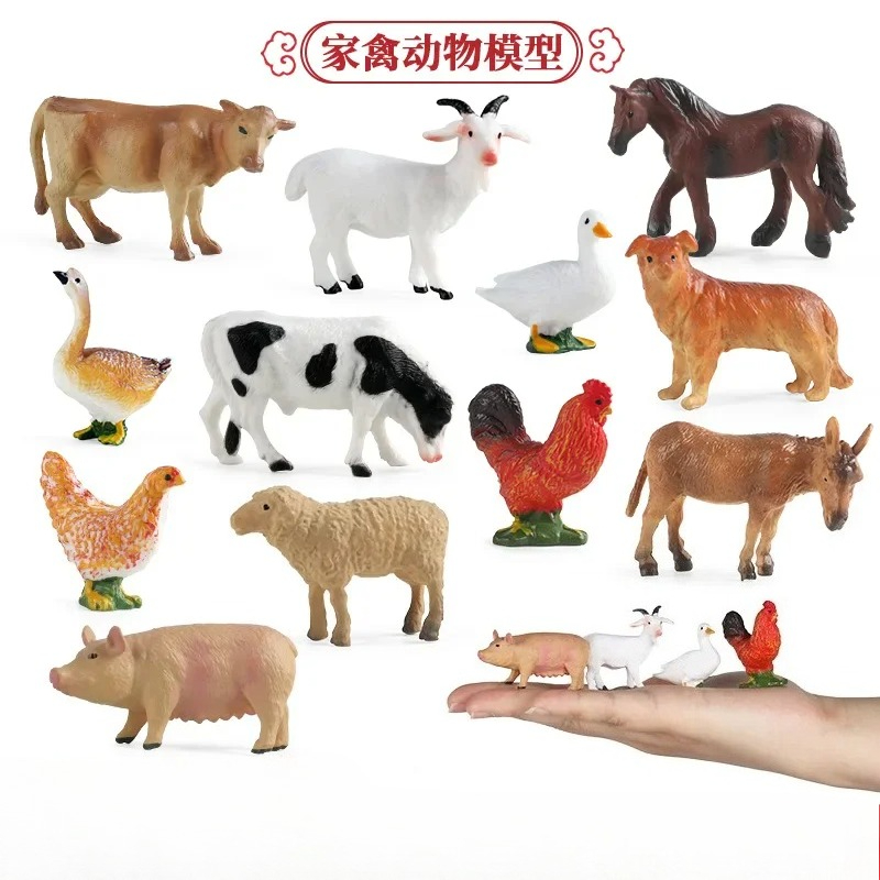 Education Teaching Tool Poultr - Science Toys review and price
